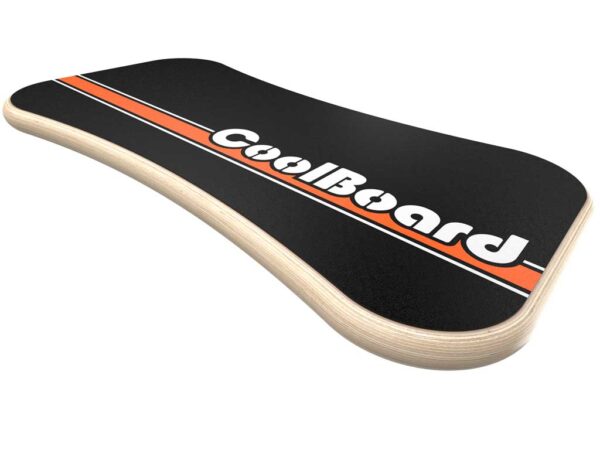 large CoolBoard wtih Disc. 2jpg